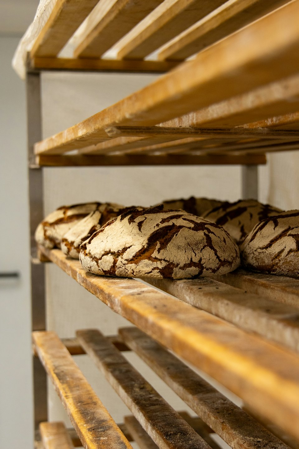 Freshly baked sourdough bread rests on a wooden rack.
